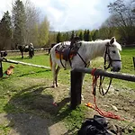 Chalet Mysliwski W Gorach *