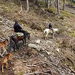 Chalet Mysliwski W Gorach Ujsoły