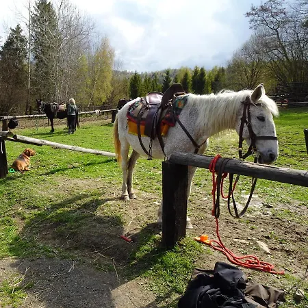 Domek alpejski Myśliwski W Górach *