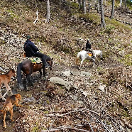 Domek alpejski Myśliwski W Górach Ujsoły