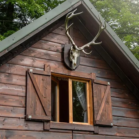Chalet Mysliwski W Gorach