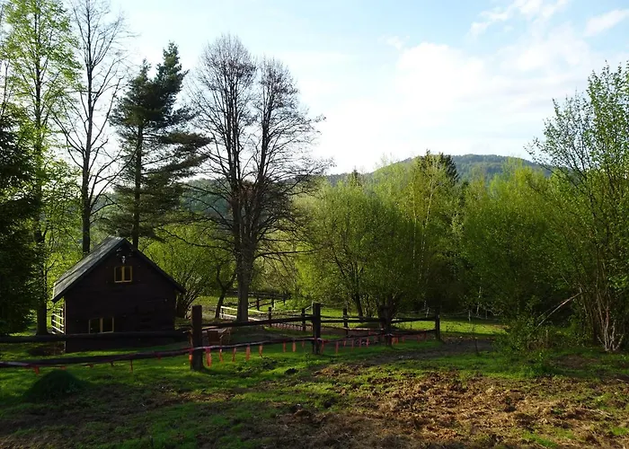 Mysliwski W Gorach *