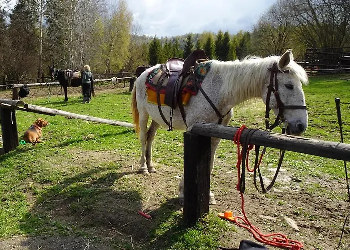 Chalet Mysliwski W Gorach *