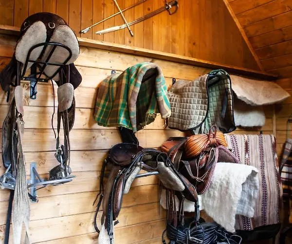 Mysliwski W Gorach Chalet Ujsoły