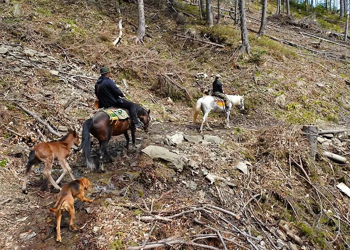 Chalet Mysliwski W Gorach Ujsoły