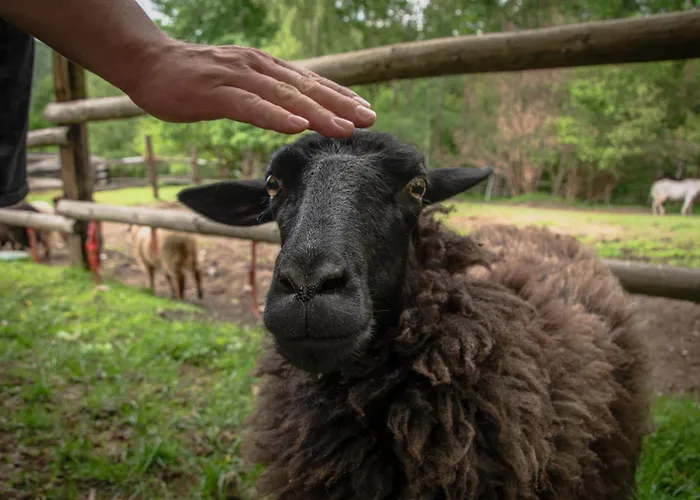 Chalet Mysliwski W Gorach Ujsoły