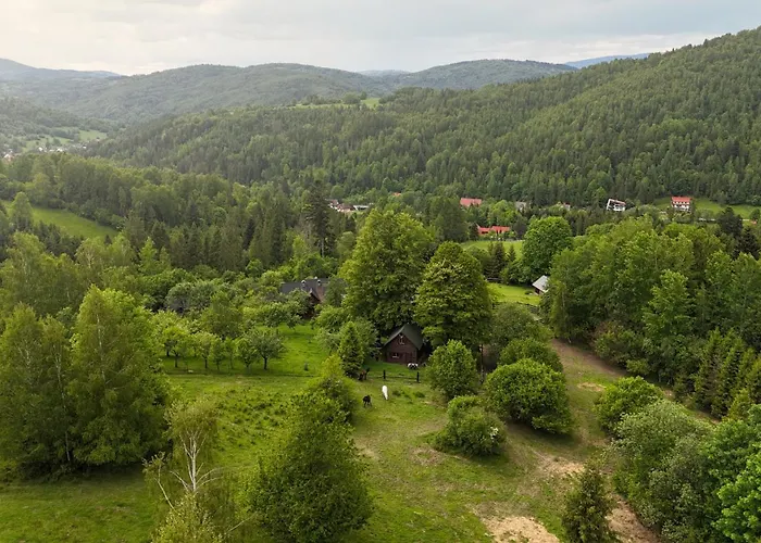 Mysliwski W Gorach Chalet Ujsoły