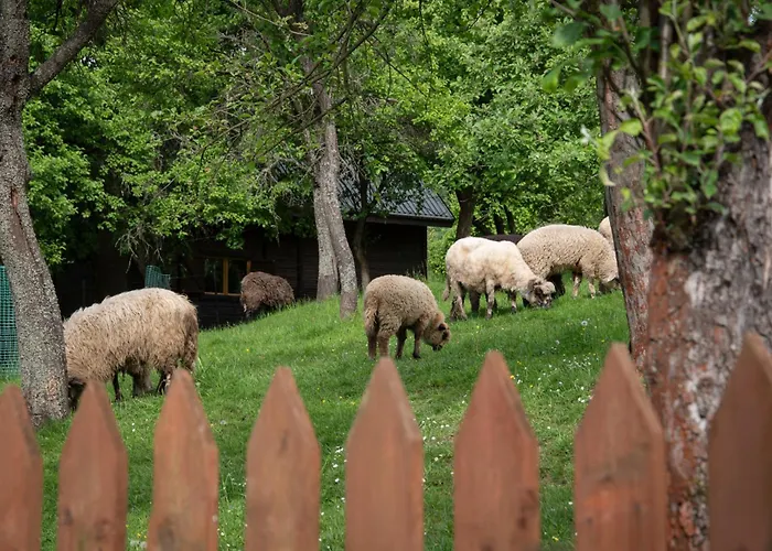 Chalet Mysliwski W Gorach Ujsoły