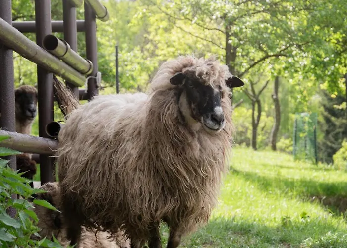 Mysliwski W Gorach Chalet